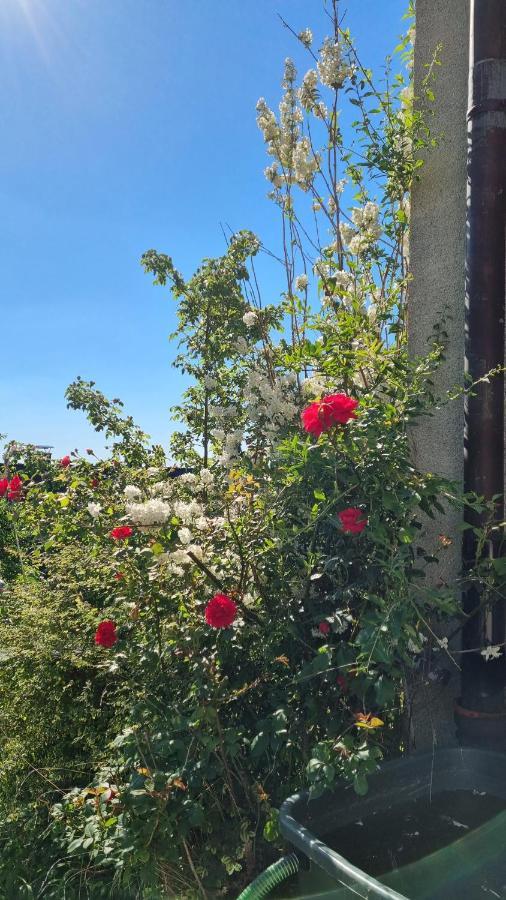 Appartement Zum Entspannen Wartenberg  Εξωτερικό φωτογραφία